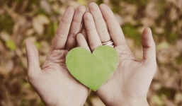 LIEF – Mạng xã hội kết nối gia đình và người thân 